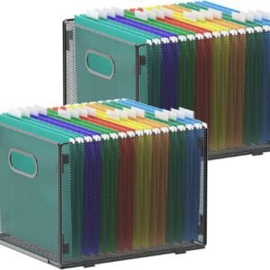 Hanging File Organizer (Pack 2), Grid File Basket